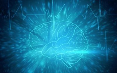 Control Bionics (ASX:CBL) Looks to Solidify Global Presence